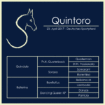 Quintoro - Pferdehof am Weiler - steht zum Verkauf!
